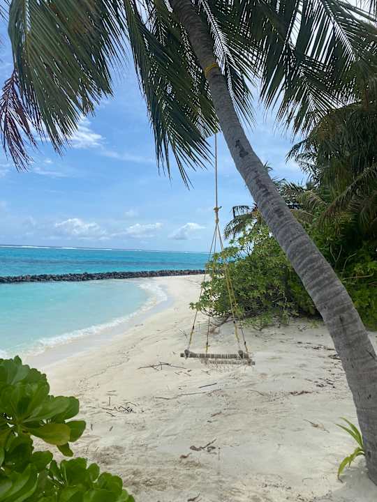 Strand Summer Island Maldives