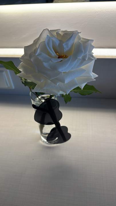 Gartenanlage Dream Water World