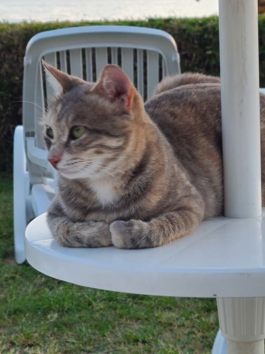 Sonstiges Melas Resort Hotel