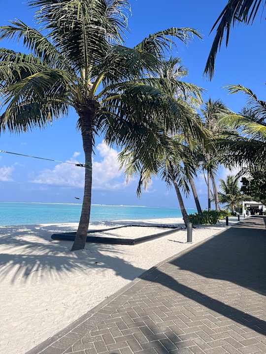 Lobby Hotel Riu Atoll