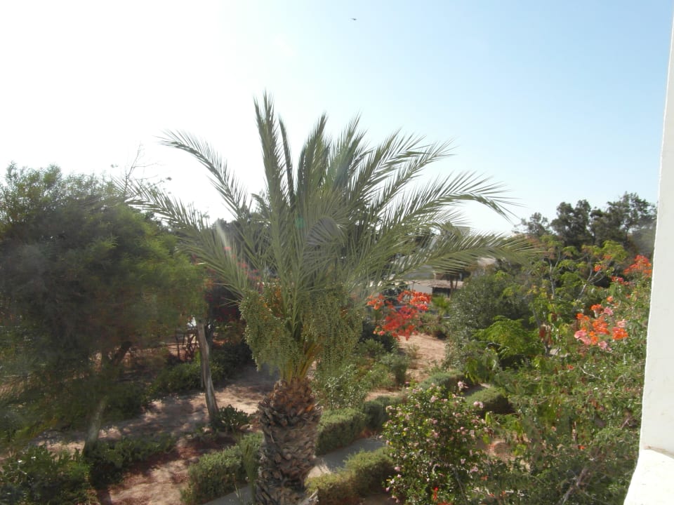 Ausblick vom Zimmer Hotel Sangho Club Zarzis