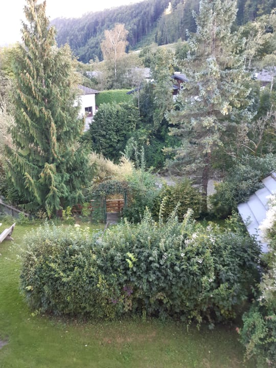 Ausblick Hotel Zinkenbachmühle