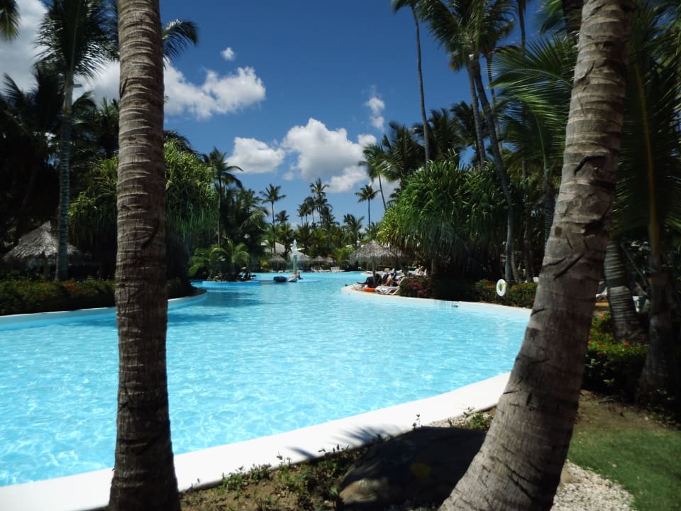Gepflegter Pool Meliá Caribe Beach Resort-All Inclusive