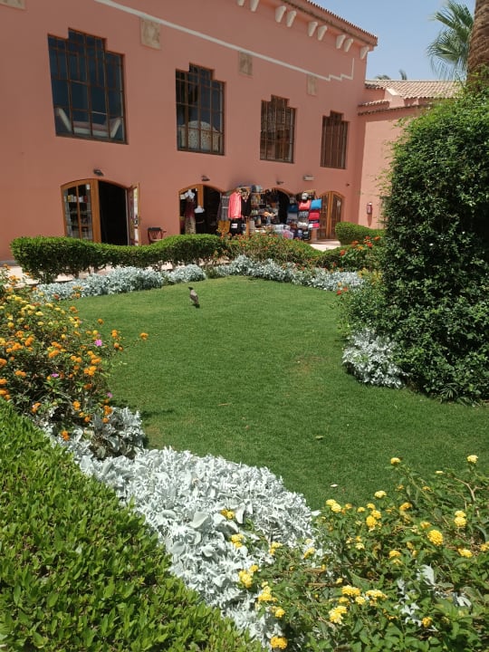 Gartenanlage Mövenpick Resort & Spa El Gouna