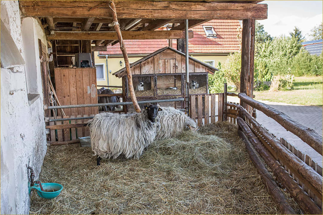 Rundgang per FotoShooting Sommer 2015 Hotel Reiterhof Altmühlsee