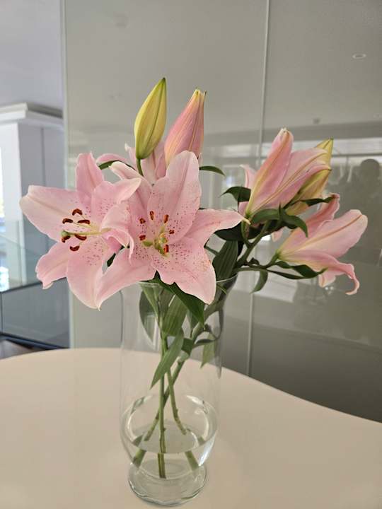 Lobby Hipotels Bahía Cala Millor