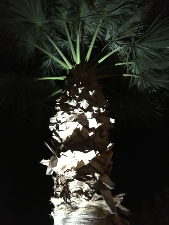 Sonstiges Elounda Bay Palace Hotel