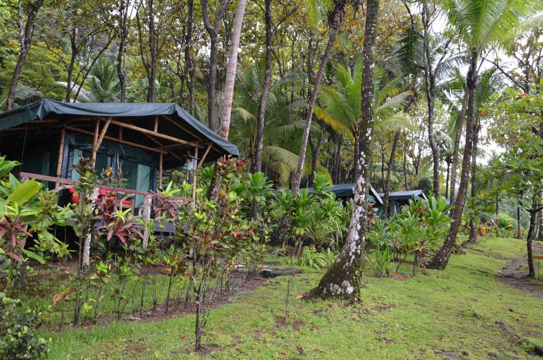 Außenansicht auf das Tentcabin/ Zeltbungalow La Leona Ecolodge