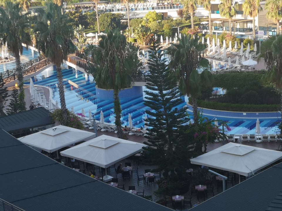 Ausblick TUI MAGIC LIFE Jacaranda