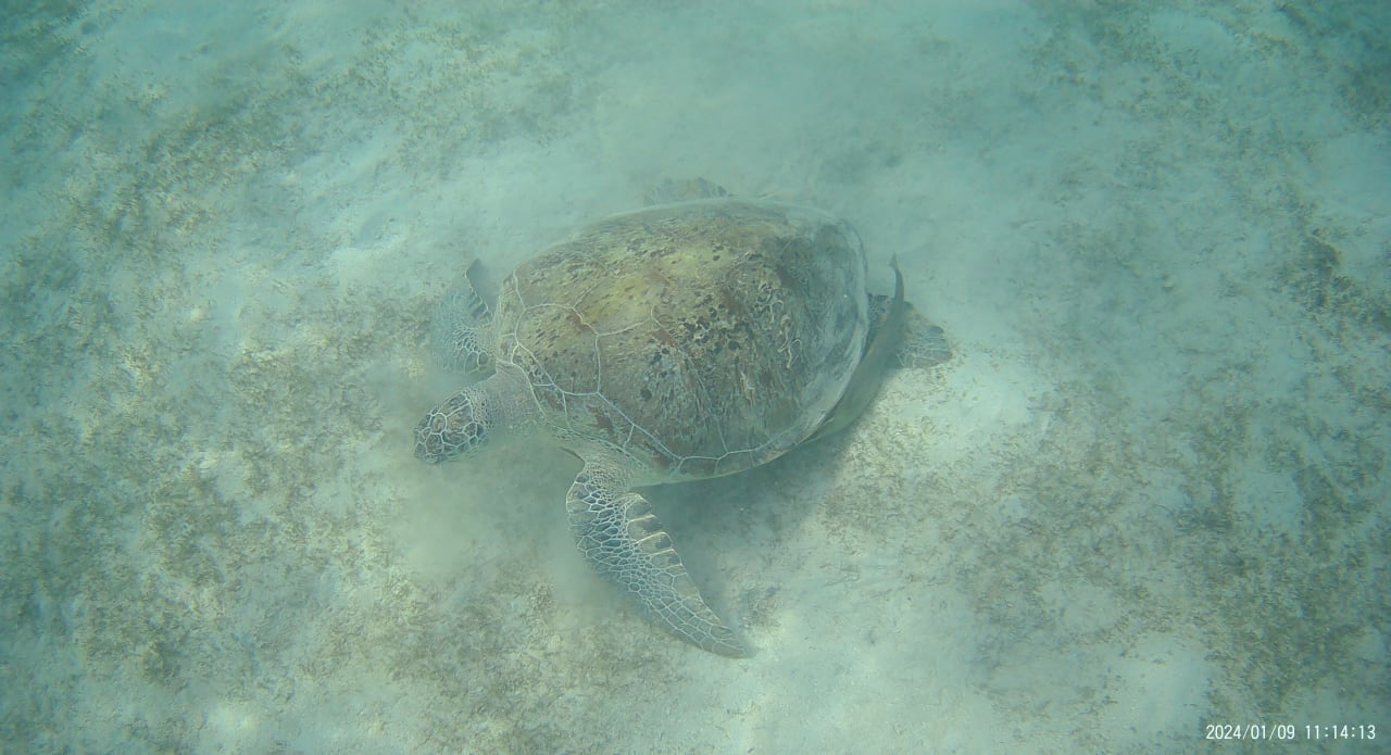 Strand Casa Mare Resort