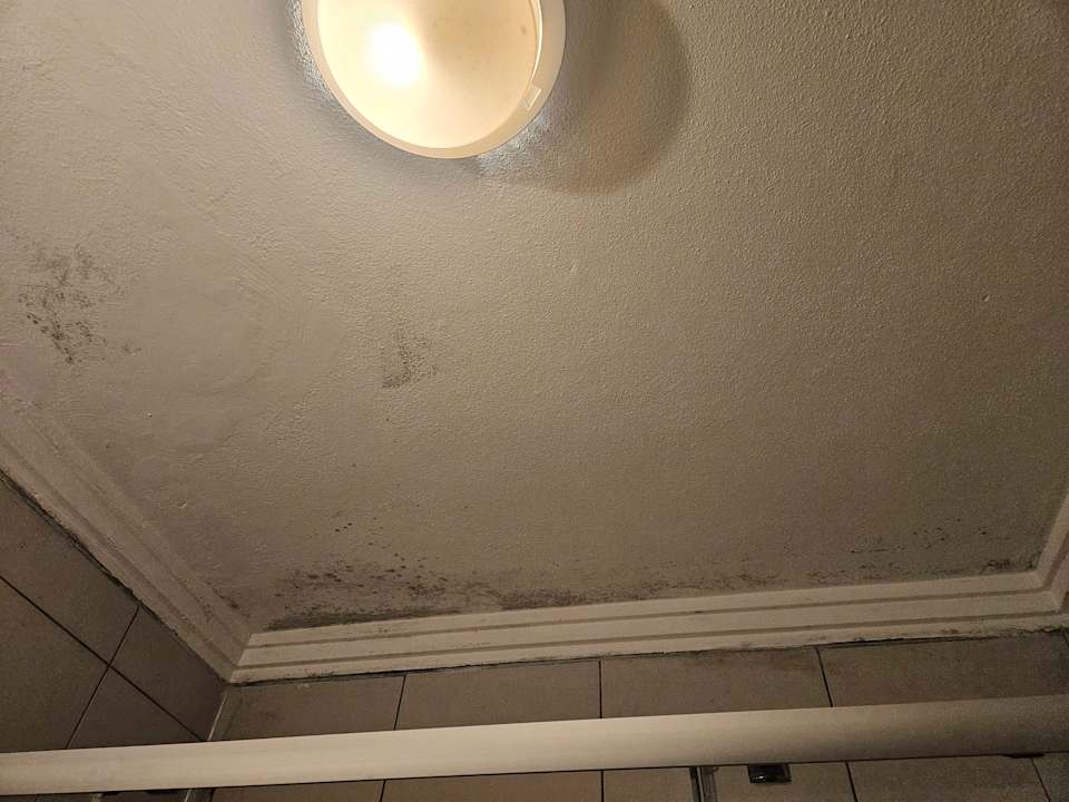 Zimmer Kamelya Aishen Club