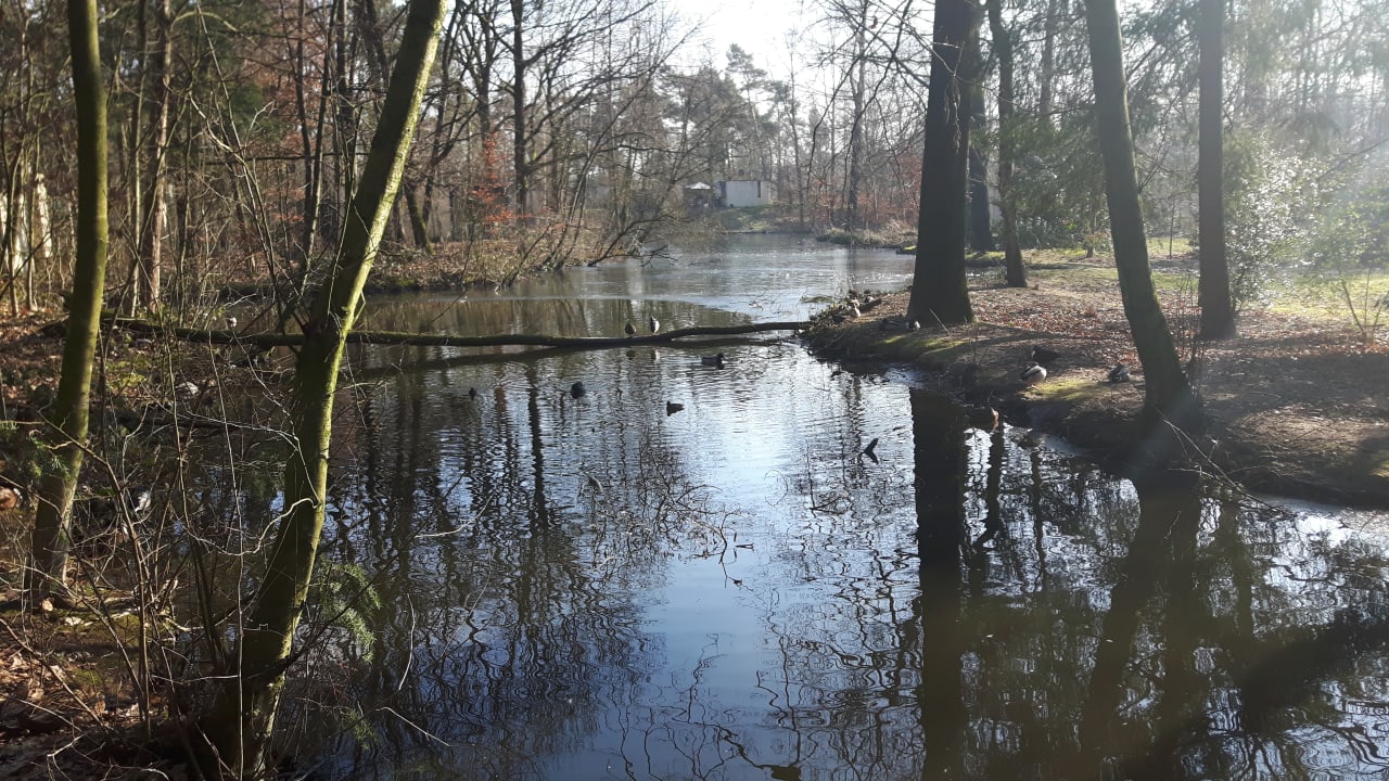 Gartenanlage Center Parcs Het Heijderbos