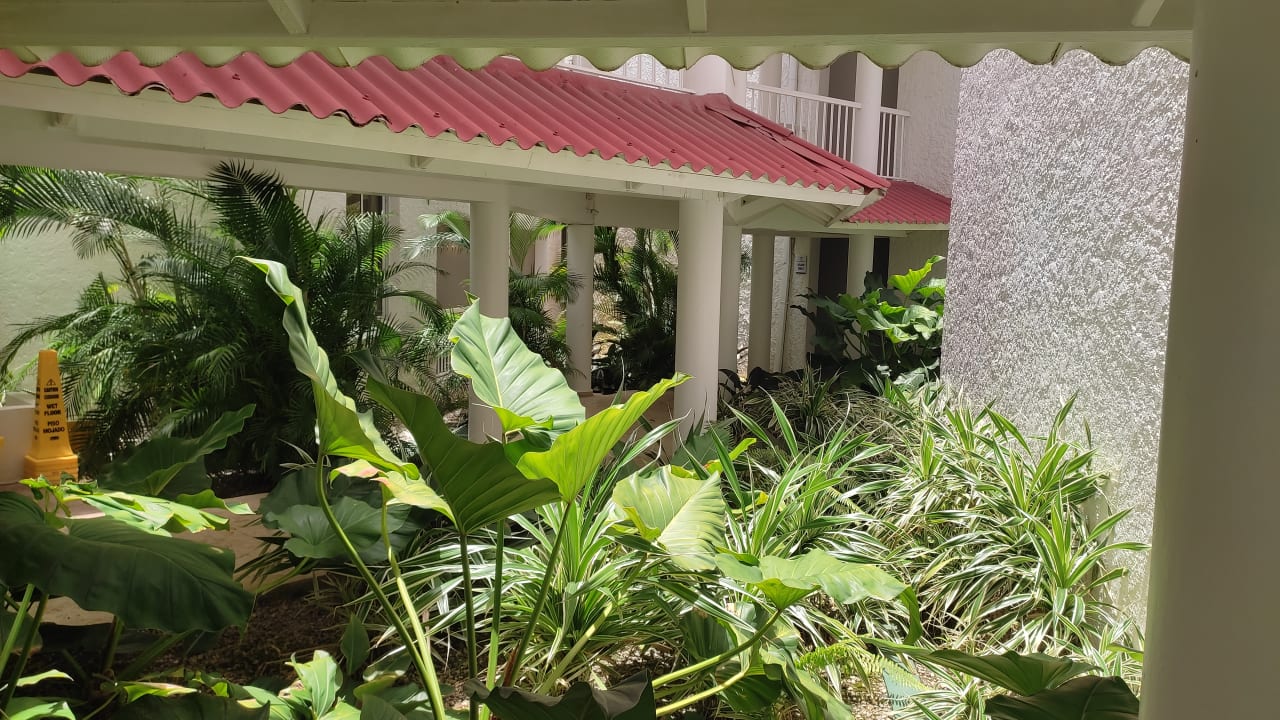 Gartenanlage Viva Heavens by Wyndham - All Inclusive Resort