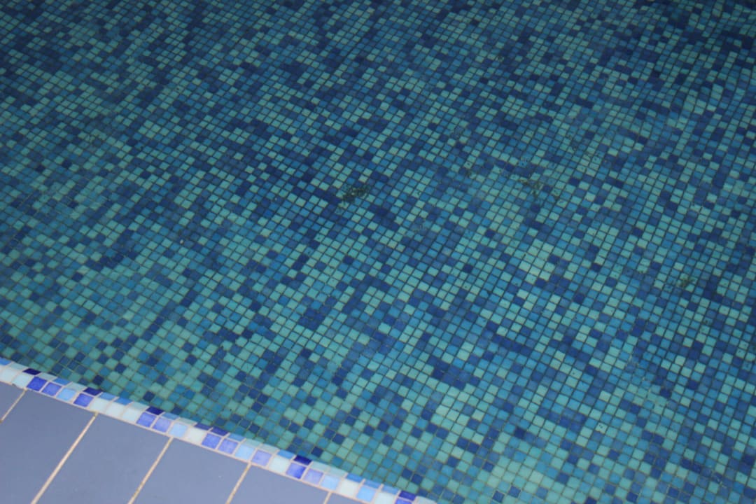 Black mold in Pool Memories Flamenco Beach Resort