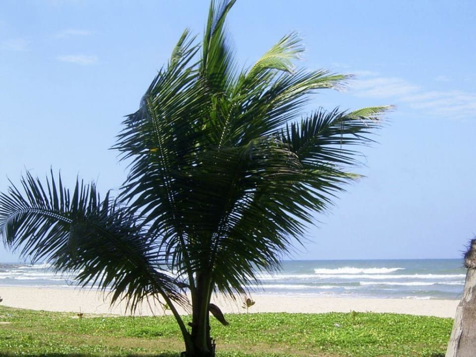 Aussicht vom Hotel zum Strand Thaala Bentota