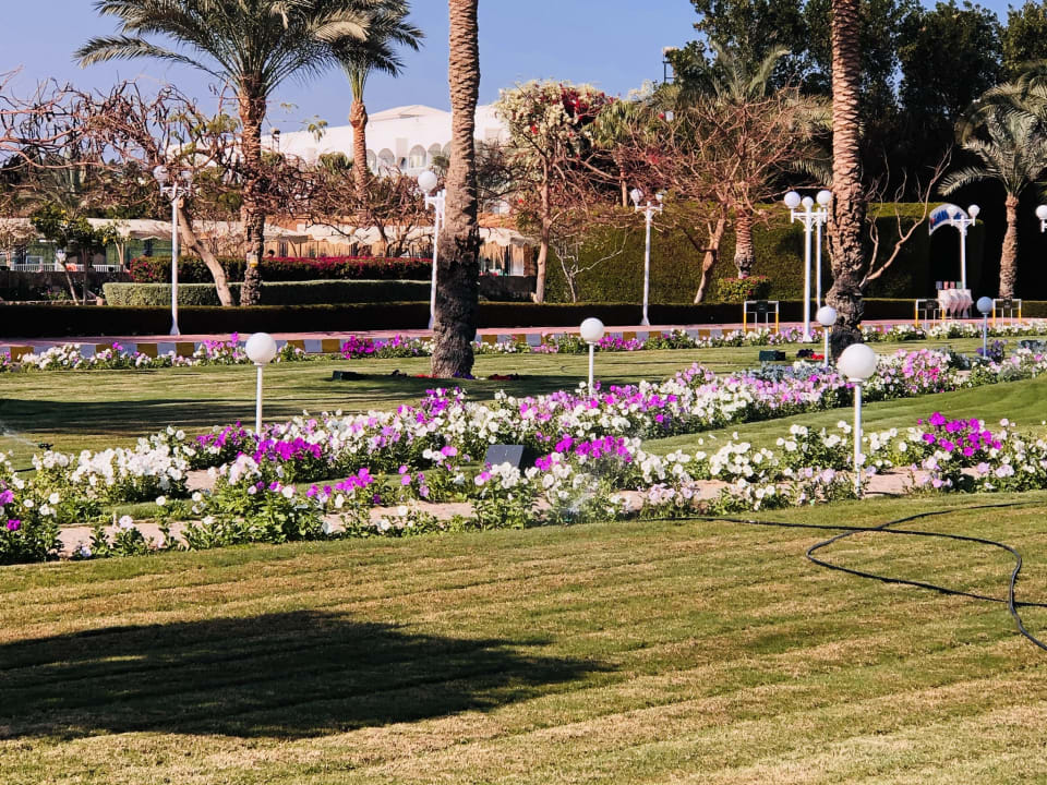Außenansicht Desert Rose