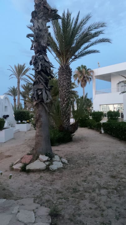 Gartenanlage Hotel Meninx Djerba