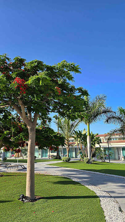 Gartenanlage Kumara Serenoa by Lopesan Hotels