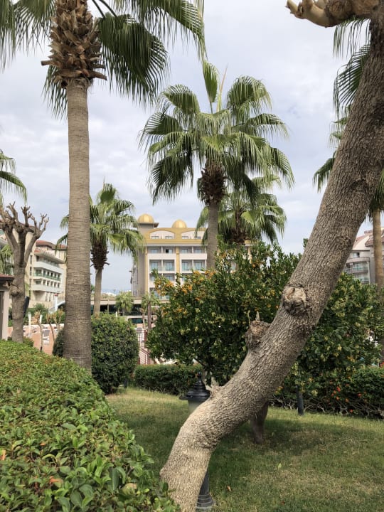 Außenansicht Aydinbey Kings Palace & Spa