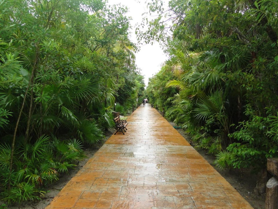 Weg vom Lobby richtung Strand Catalonia Playa Maroma