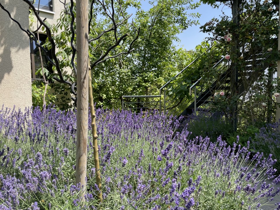 Außenansicht Jugendstil-Hof Guesthouse