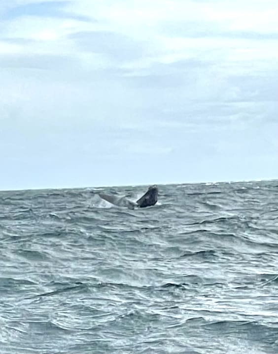 Sport & Freizeit Bahia Principe Grand Samana - Adults Only