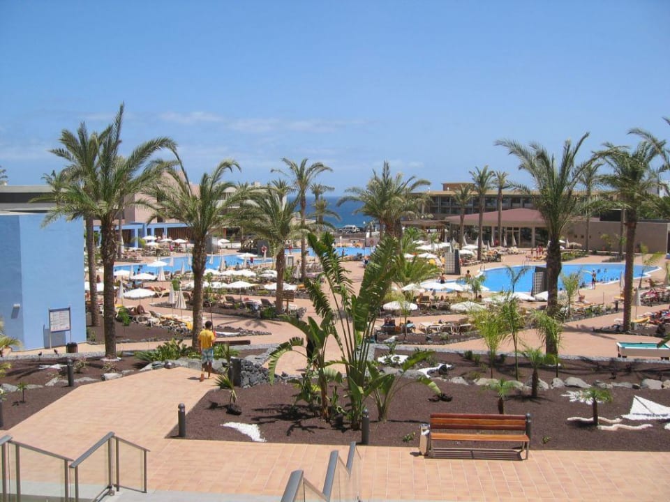 Pool Iberostar Waves Gaviotas Park