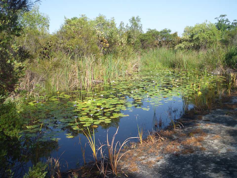 Gartenanlage Mercure Kingfisher Bay Resort Fraser Island