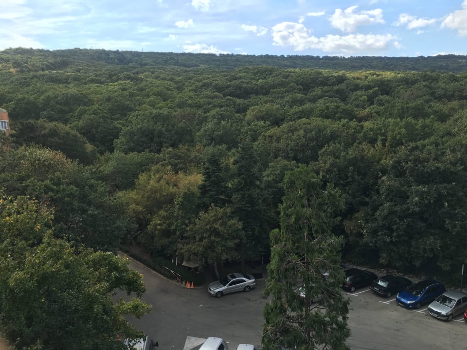 Ausblick 522 HVD Viva Club Hotel