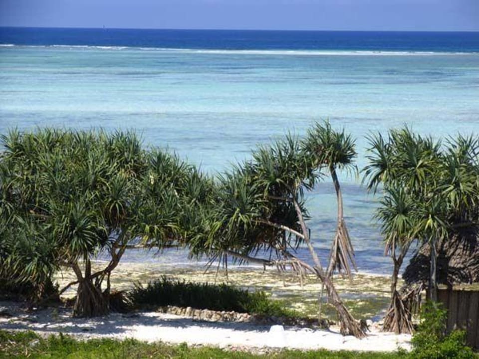 Hotel beach Hotel The Zanzibari