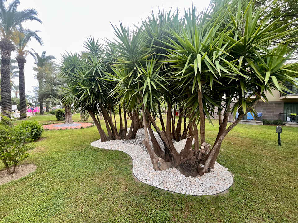 Gartenanlage TUI BLUE Palm Garden