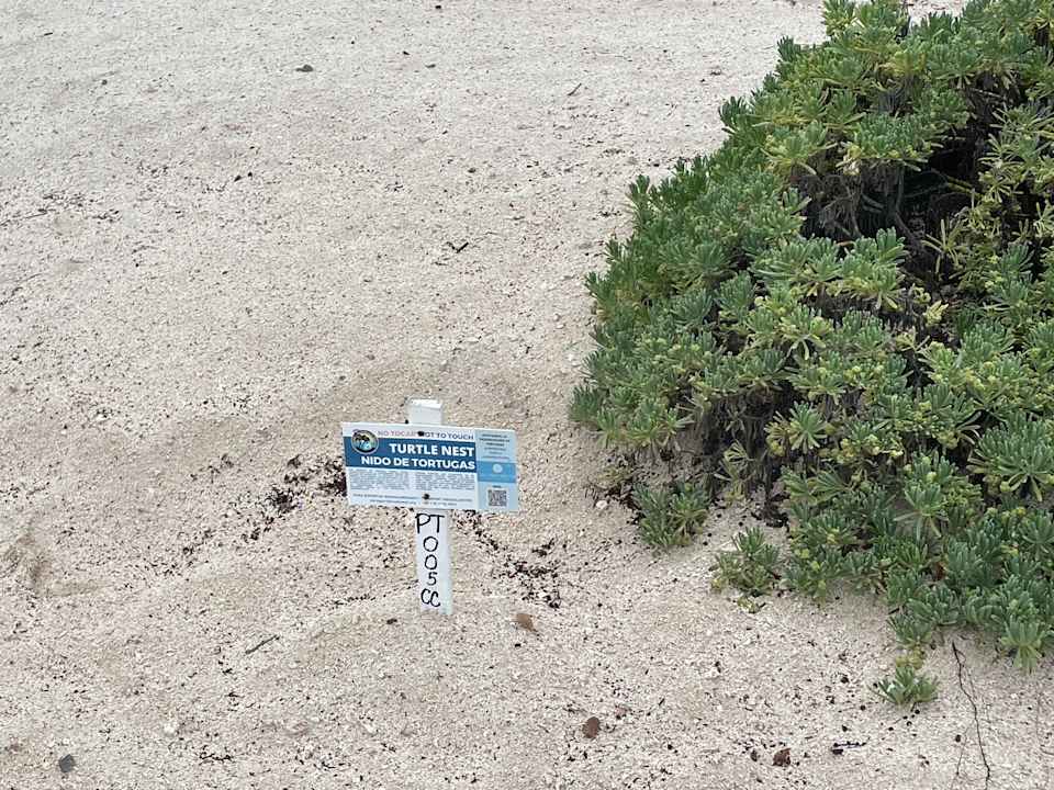 Strand Akumal Bay Beach & Wellness Resort