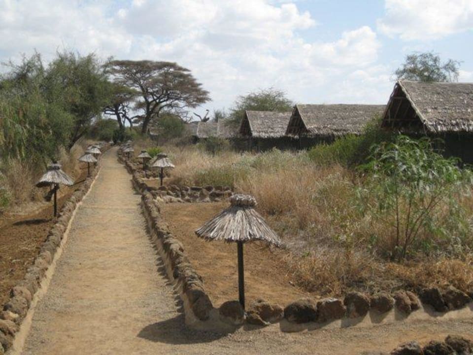 Weg zu den Zelten Kibo Safari Camp