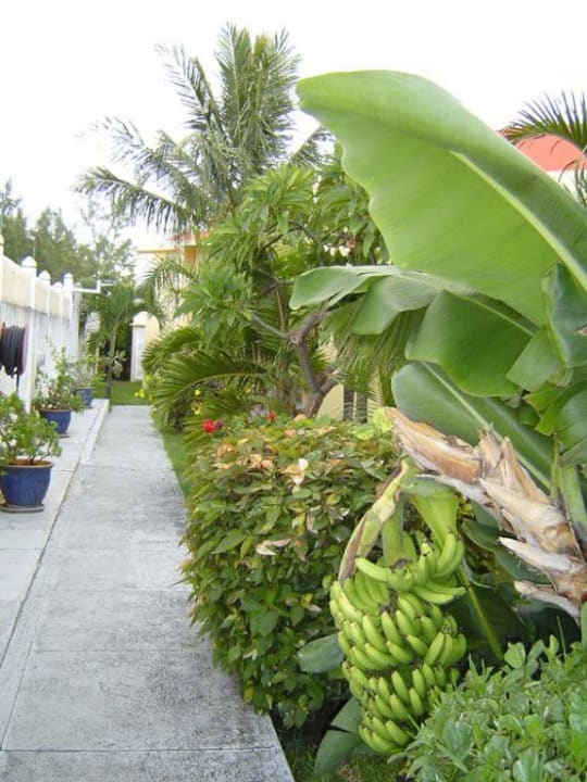 Hotelanlage Hotel Villas Caroline