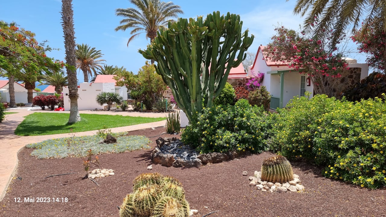Gartenanlage Aldiana Club Fuerteventura