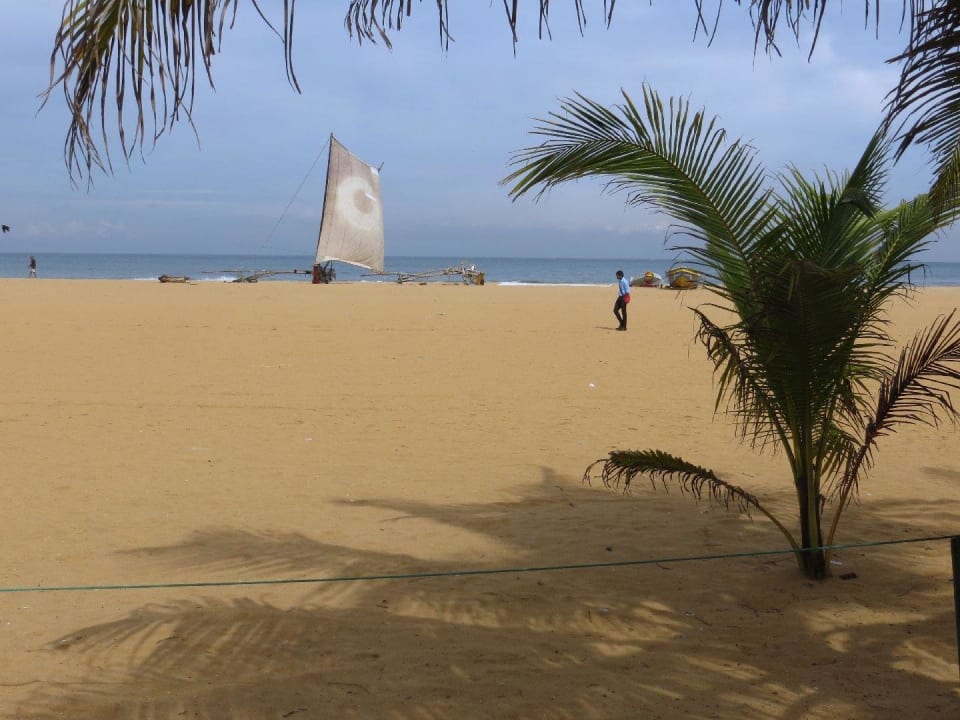 Siehe selbst Goldi Sands Hotel