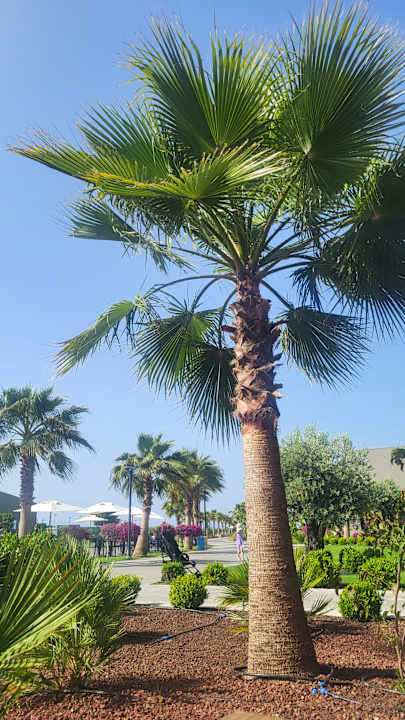 Ausblick Jacaranda Luxury Resort