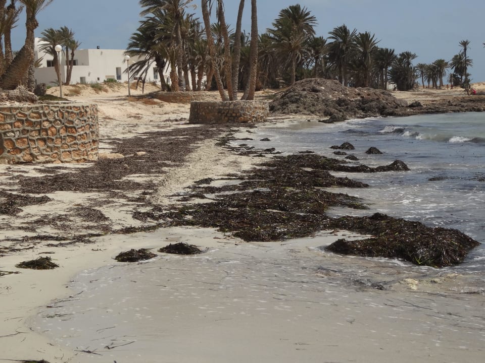 Strand Abschnitt Hotel El Mouradi Djerba Menzel