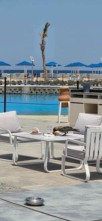 Pool Albatros Makadi Resort