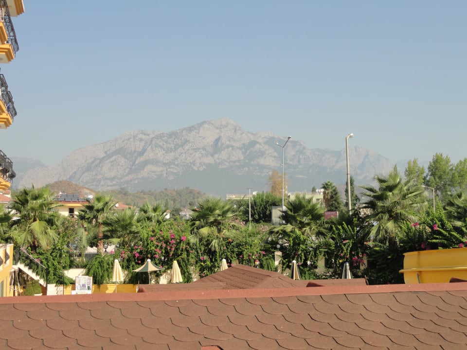 Hintergrund Hotel Camyuva Beach