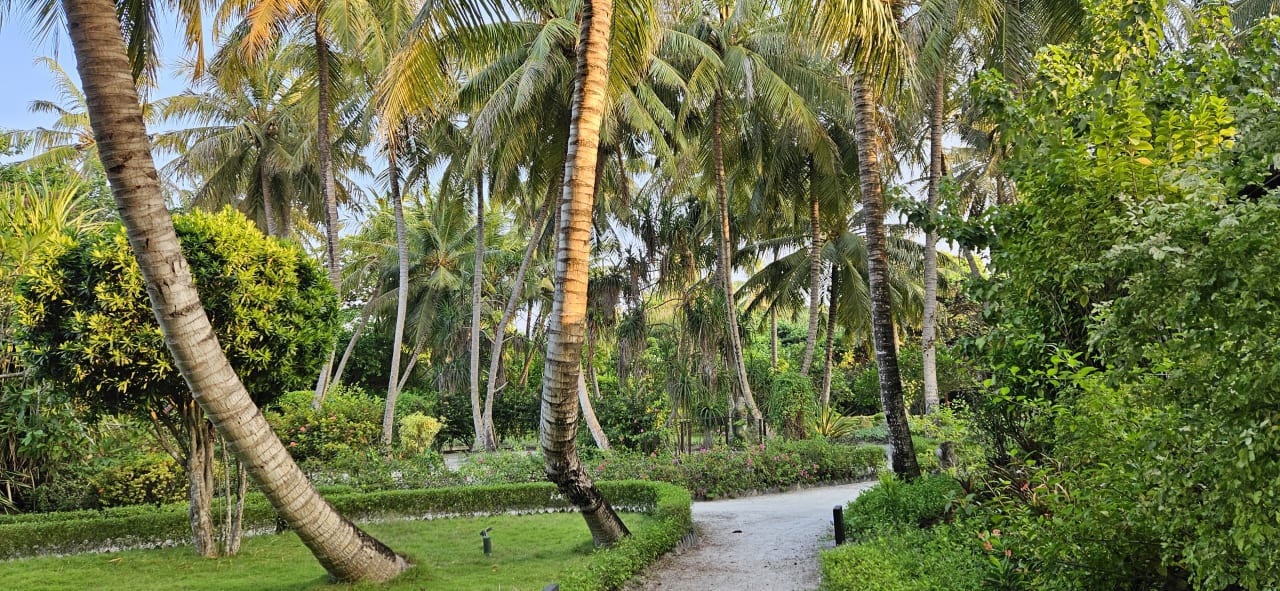 Gartenanlage Adaaran Select Meedhupparu Island Resort - Premium All Inclusive