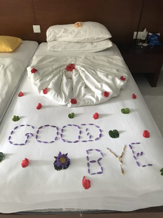 Zimmer Hotel Lanka Princess Ayurveda