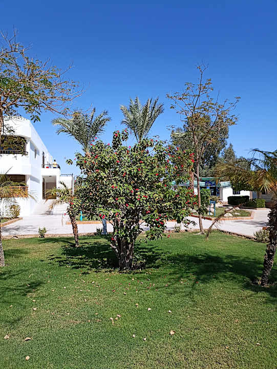 Gartenanlage Ghazala Beach