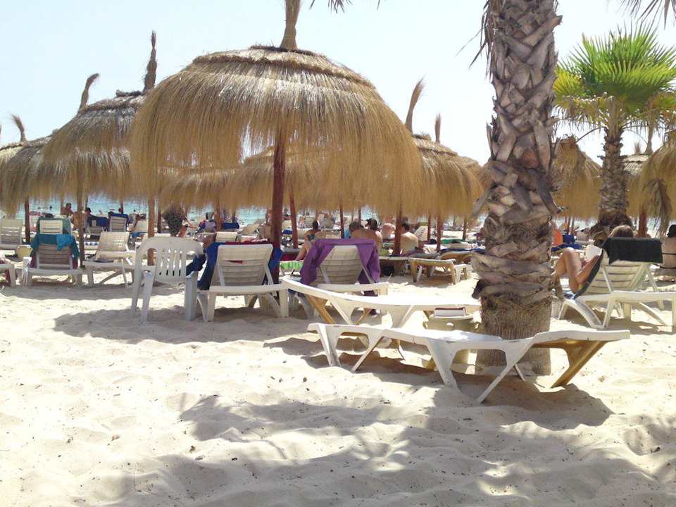 Palmen am Strand El Mouradi Club Kantaoui