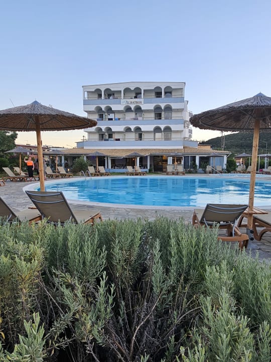 Pool Hotel Albatros