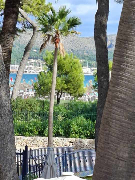 Ausblick allsun App.-Hotel Orquidea Playa