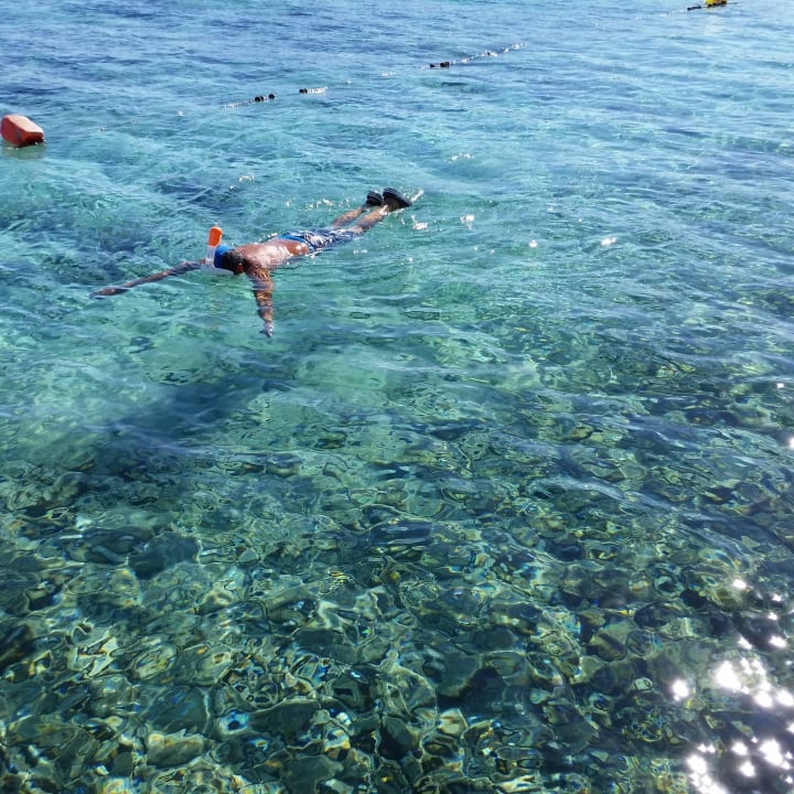 Kristallklares Wasser am Riff Bel Air Azur Resort - Adults only