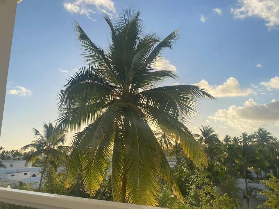 Ausblick Hotel Riu Palace Punta Cana