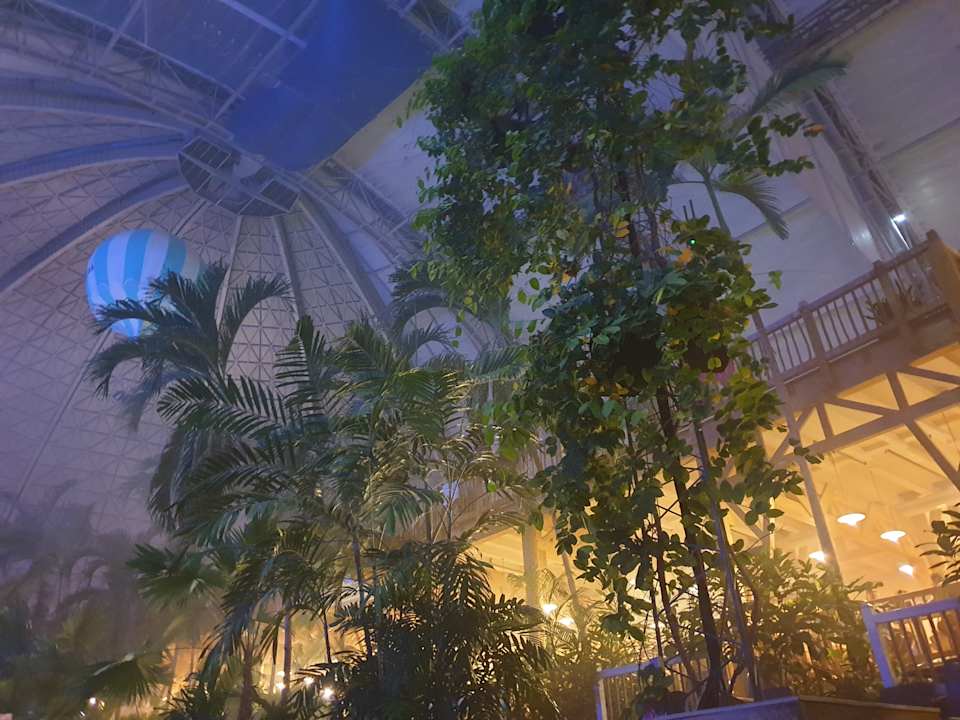 Ausblick Tropical Islands Resort