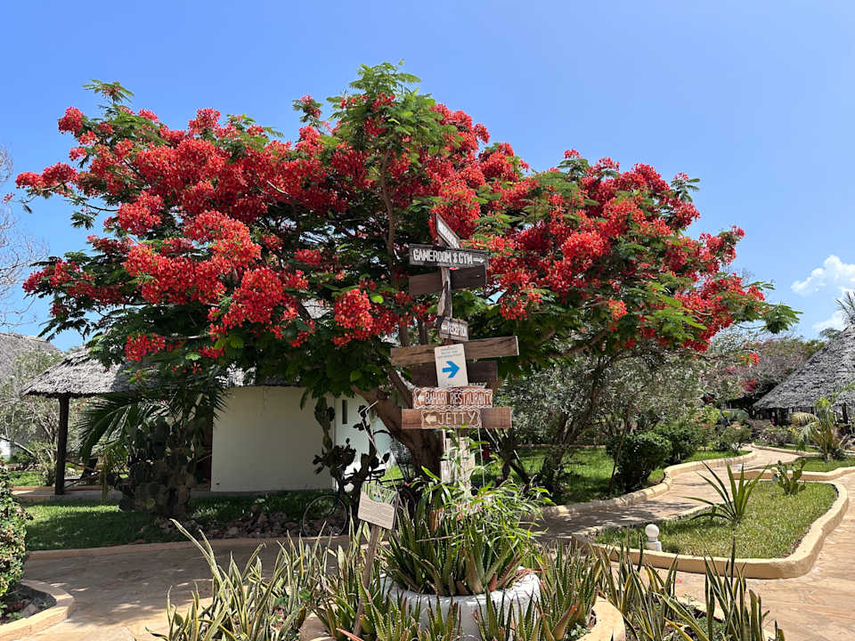 Gartenanlage Reef & Beach Resort